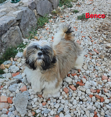 Benco