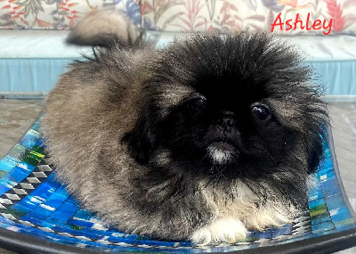 Ashley